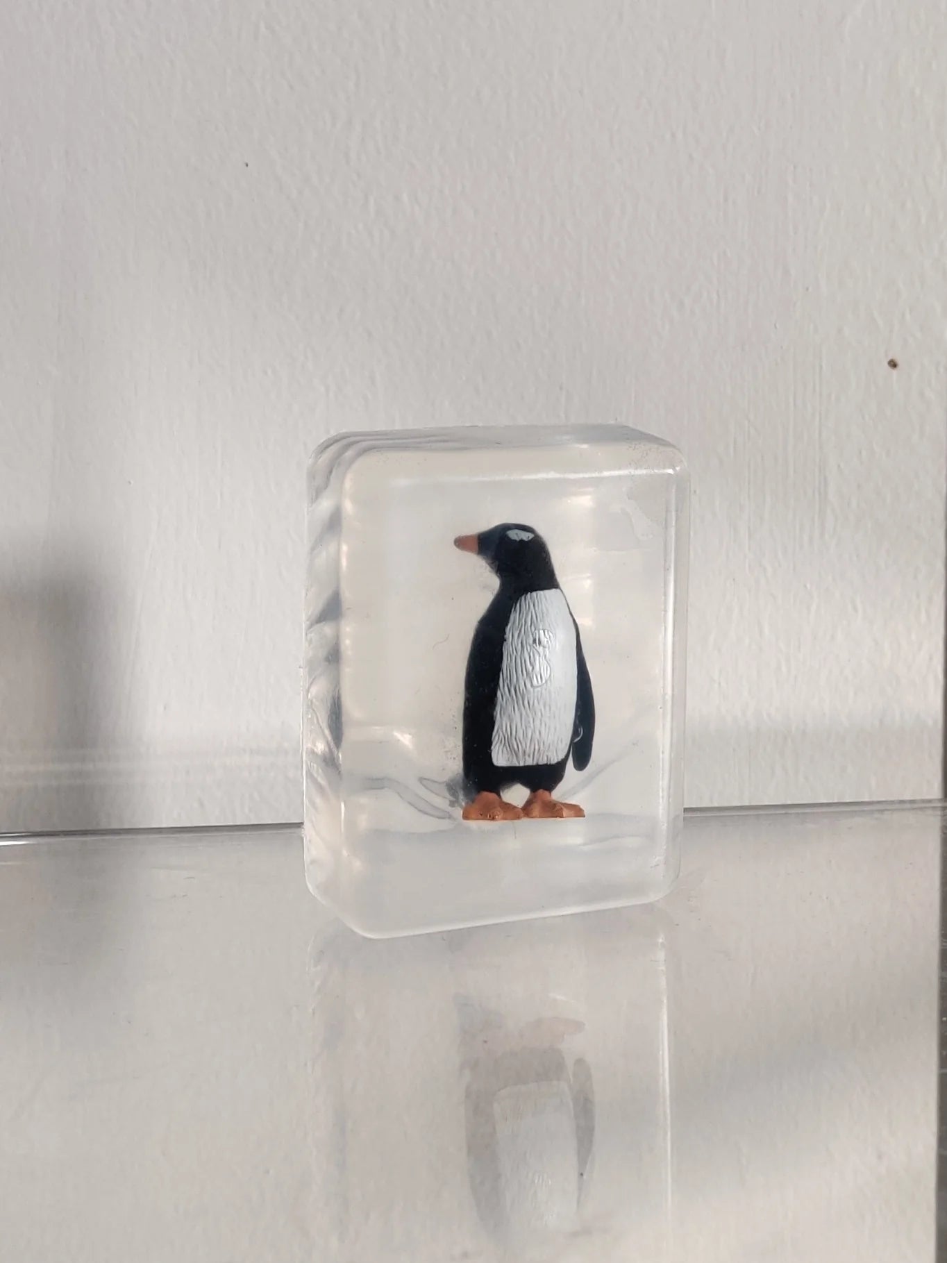 Savon Pingouin