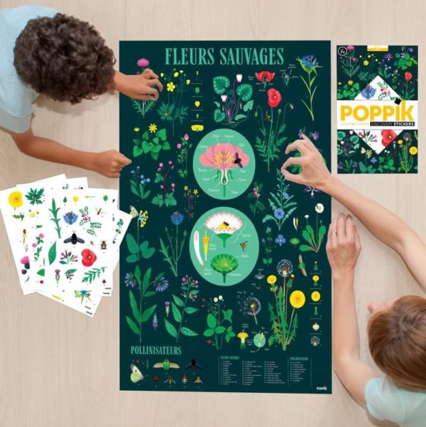 Poster éducatif avec stickers Botanic - POPPIK