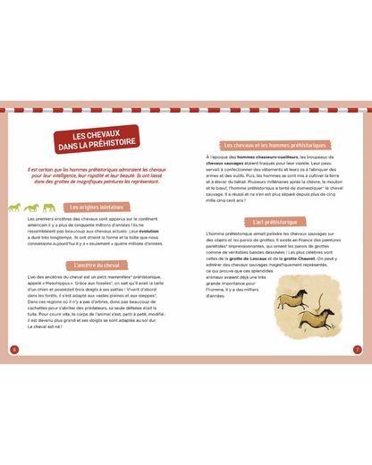 Coffret "A la découverte des chevaux"- AUZOU