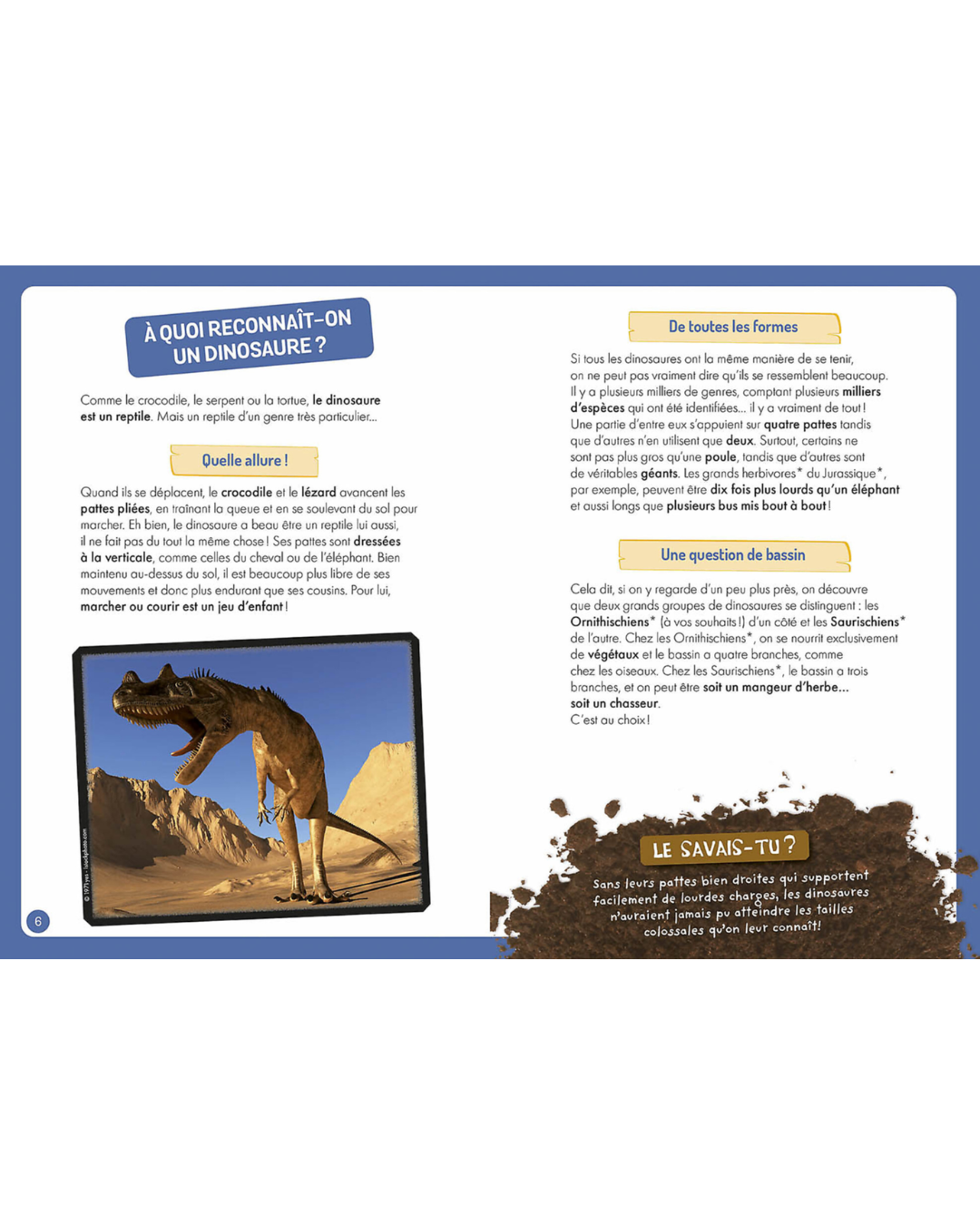 Coffret "A la découverte des dinosaures"- AUZOU