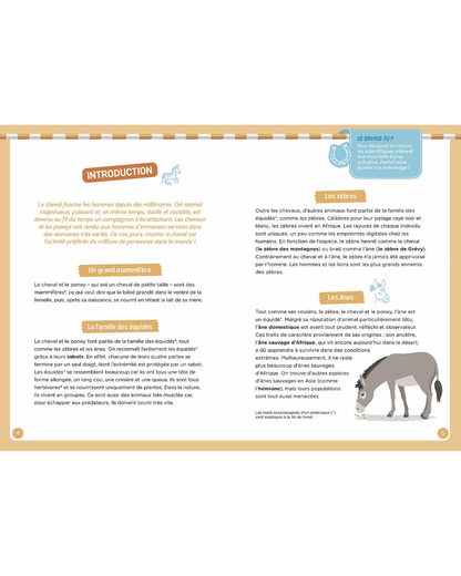 Coffret "A la découverte des chevaux"- AUZOU