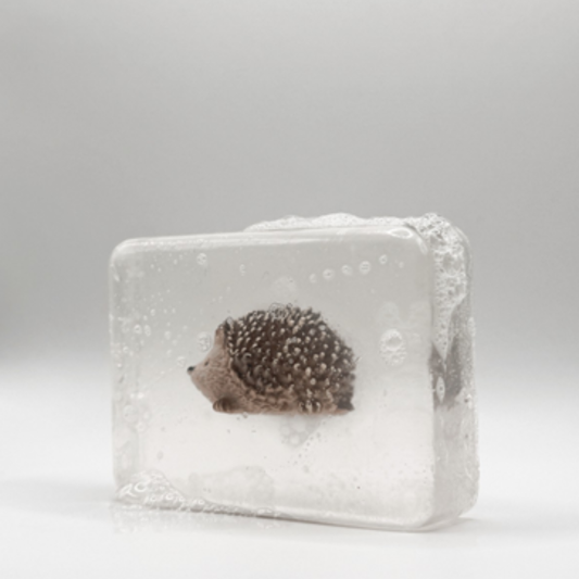 Savon Hérisson - Ludi Soap