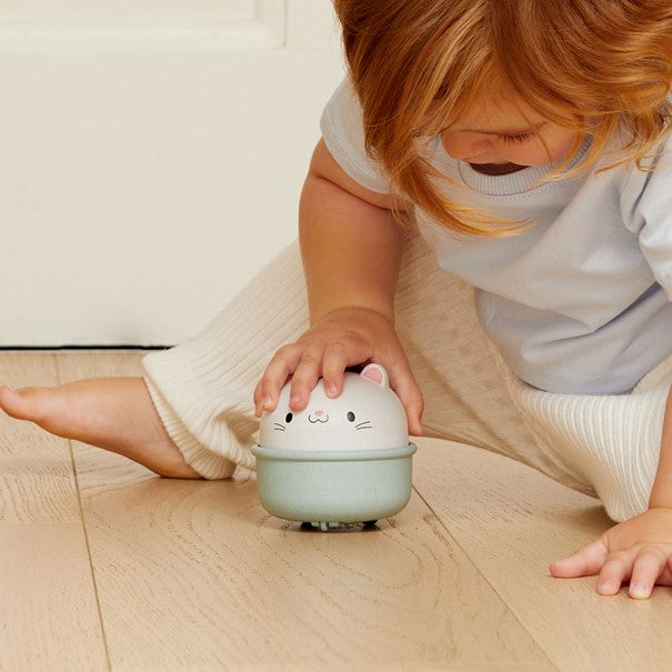 Rocking Rollers - Chat