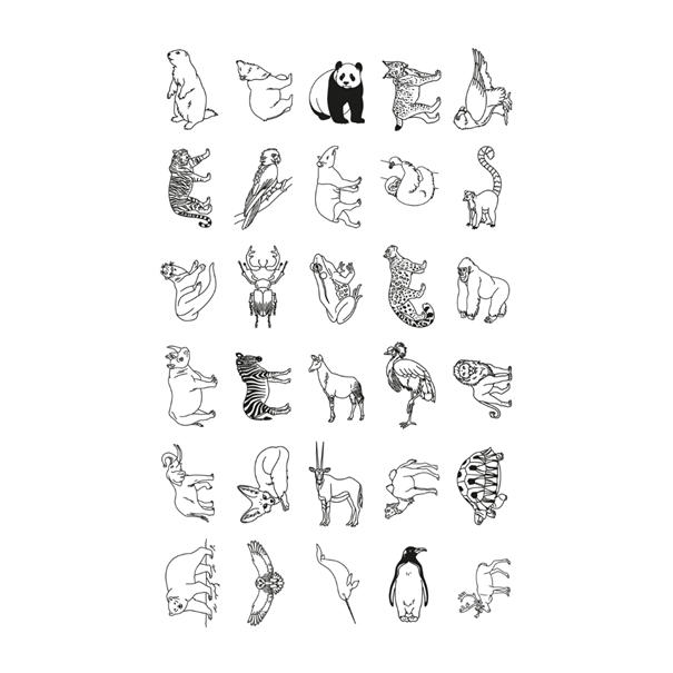 Refill KIDYDRAW-MINI - Cartes thèmes "Animaux autour du monde et Océans & Pirates "