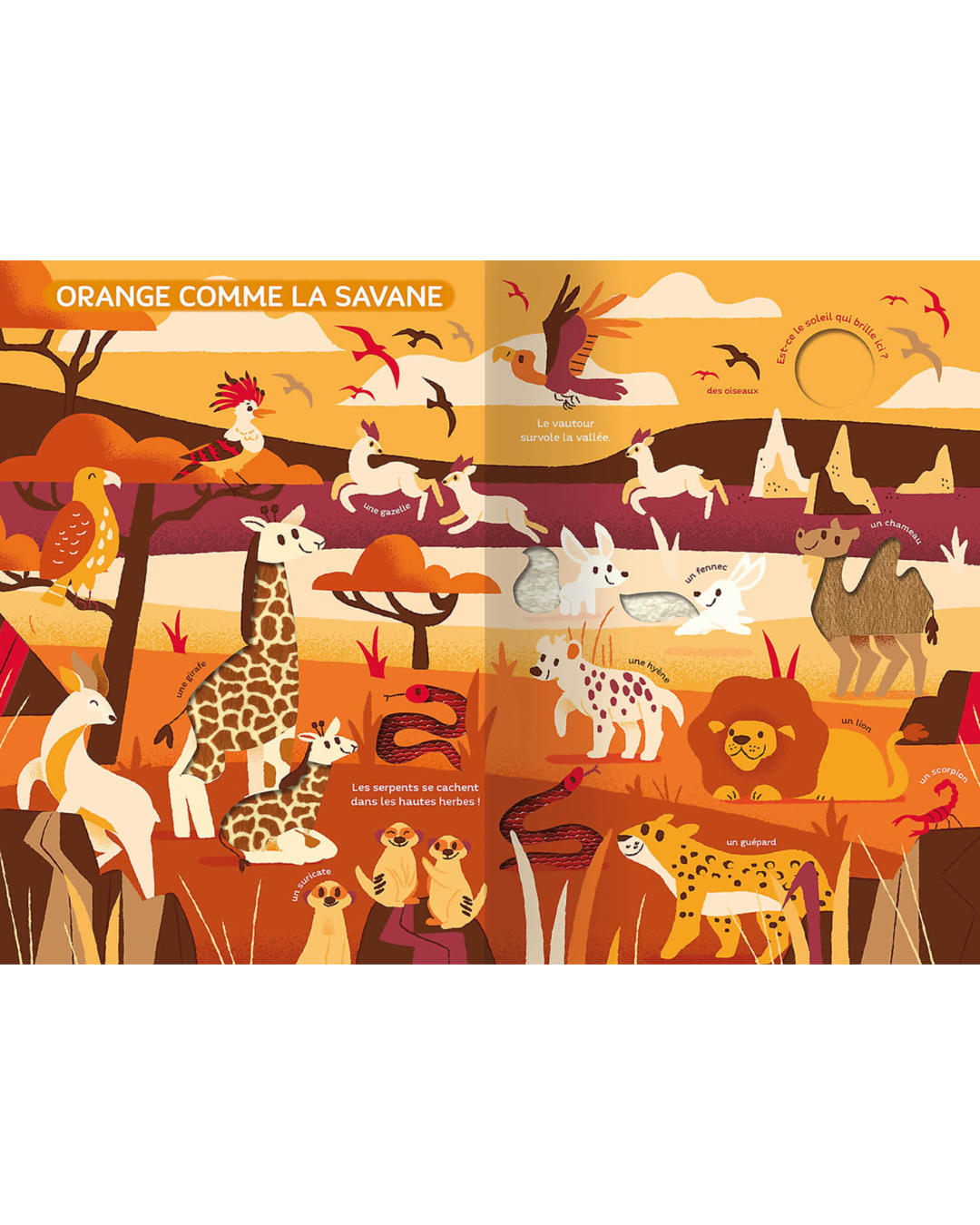 Grand livre imagier le monde des couleurs, pour bébés 