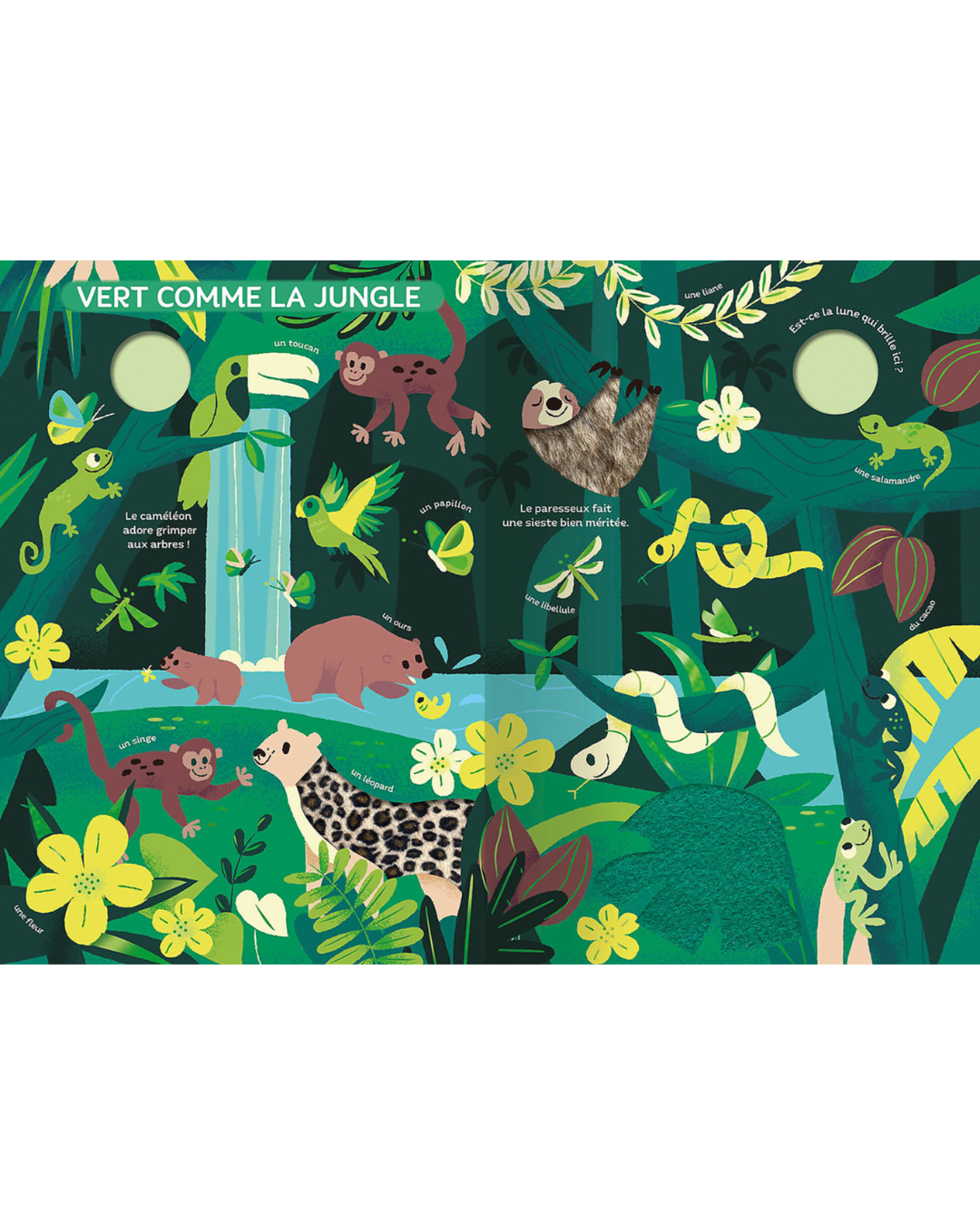 Grand livre imagier le monde des couleurs, pour bébés 