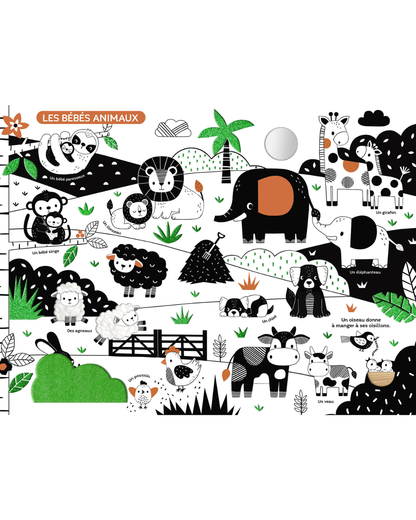 Livre Grand imagier pour bébé en noir et blanc