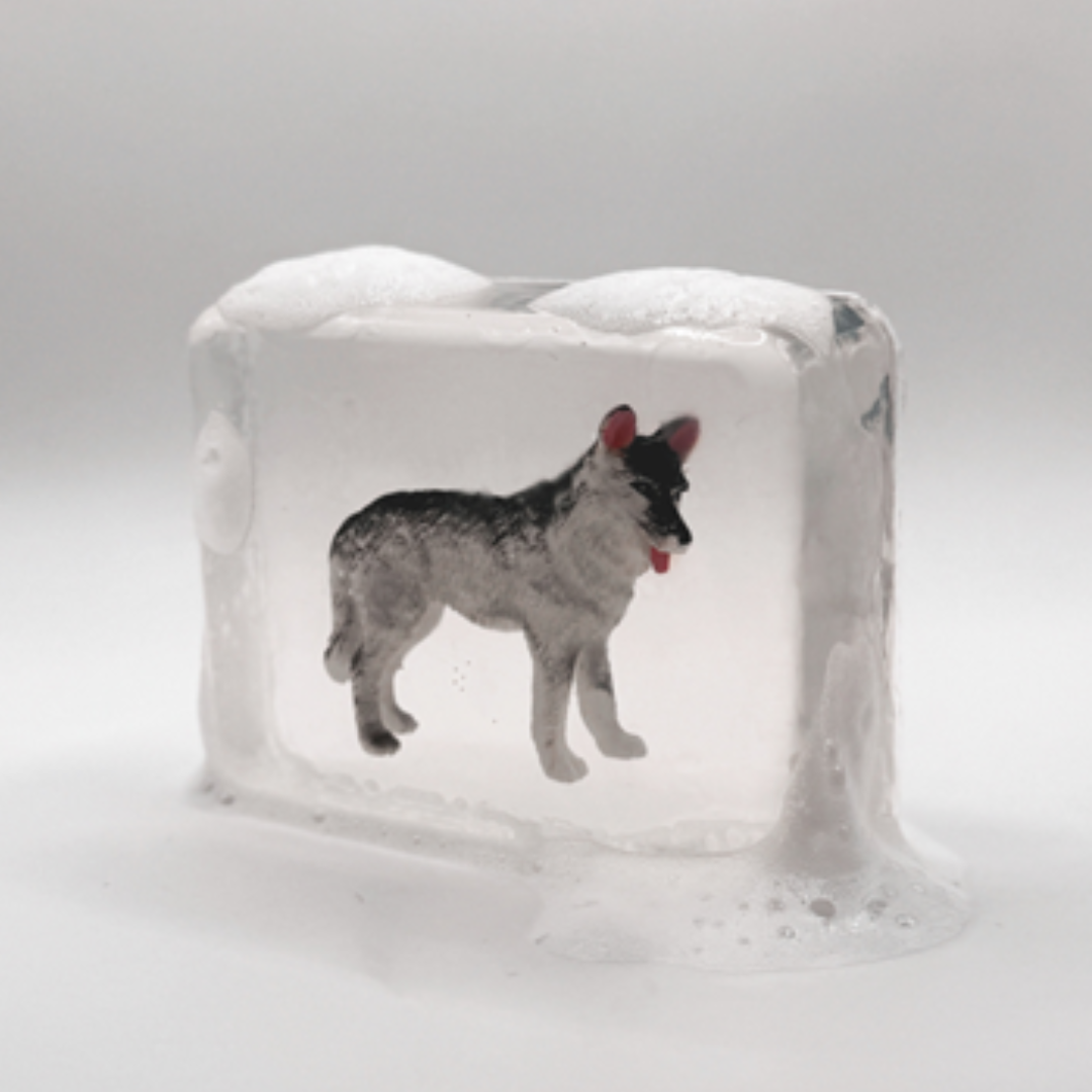 Savon Chien des neiges - Ludi Soap