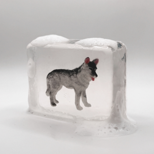 Savon Chien des neiges - Ludi Soap